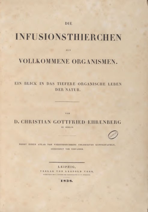 Mathias Grote Ehrenberg Infusionsthierchen